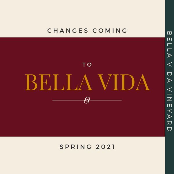 The Changes Ahead in Spring 2021