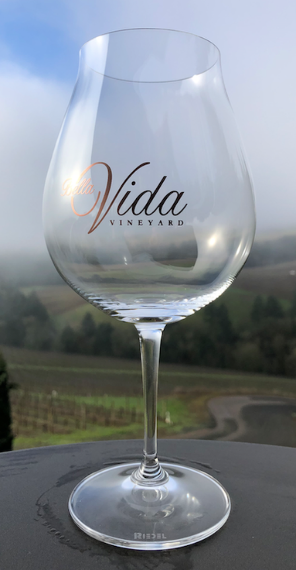Oregon Pinot Glass – Bella Vida Vineyard